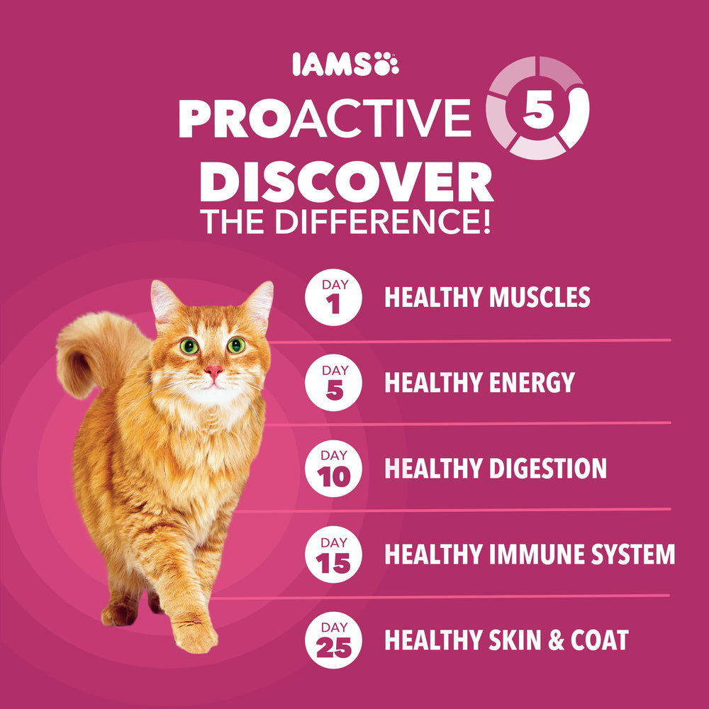 IAMS Proactive Health: antioxidantes para un sistema inmunitario fuerte
