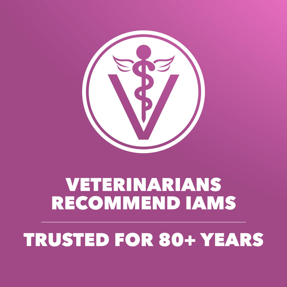 Fórmula de IAMS Proactive Health apoya órganos vitales con nutrientes esenciales.