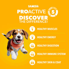 IAMS Salud Proactiva con DHA-omega-3 para cachorros, mejora cognitiva.