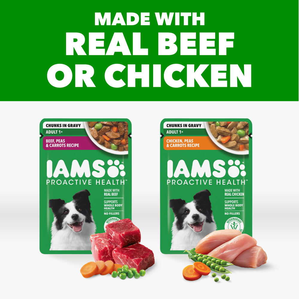IAMS Proactive Health comida húmeda con pollo para perro adulto y sabor sabroso.
