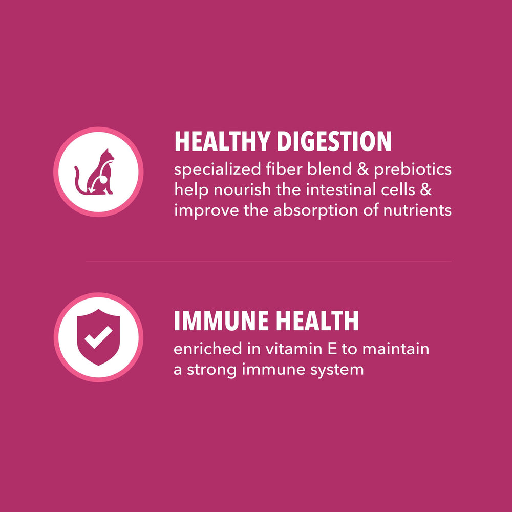 IAMS Proactive Health croquetas crujientes para masticar y disfrutar