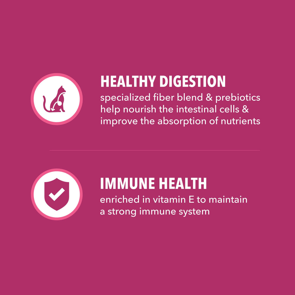 IAMS Proactive Health etiqueta Proactive 5 destacando beneficios para gatos