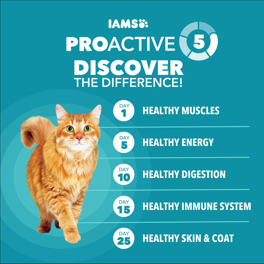 IAMS Proactive Health: fibra con pulpa de remolacha para bolas de pelo.