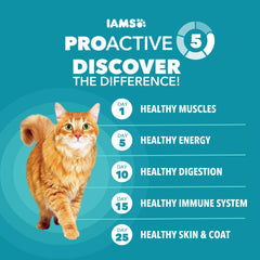 IAMS Proactive Health: fibra con remolacha para digestión suave.