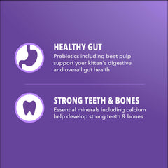 IAMS Proactive Health Gatito DHA en etiqueta: apoyo desarrollo cerebral.