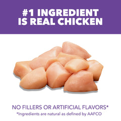 IAMS Proactive Health gatito, pollo como primer ingrediente para músculos y energía