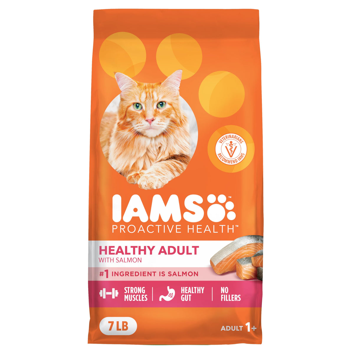 IAMS Proactive Health envase del alimento seco para gatos con salmón, fuente de energía