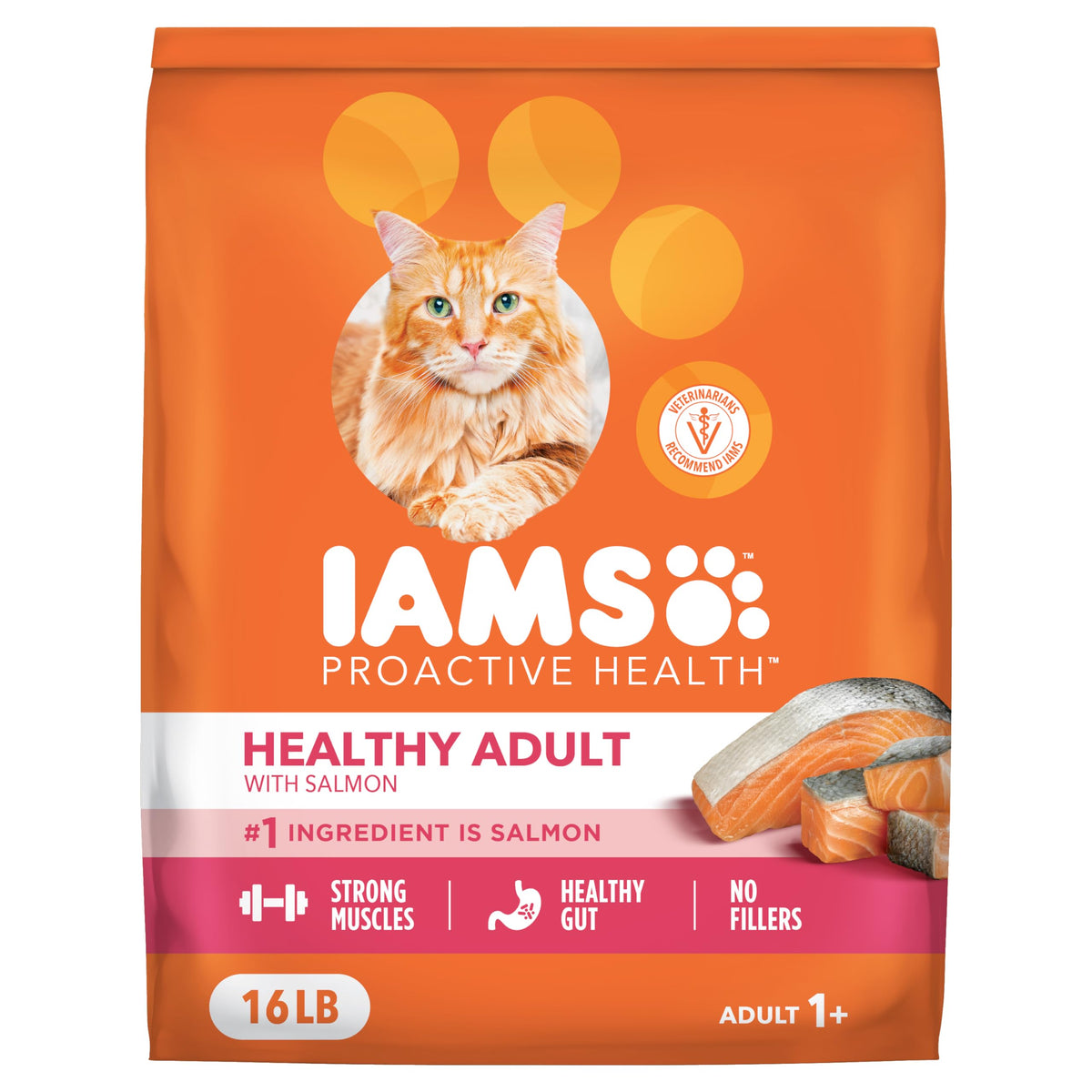 IAMS Proactive Health para gatos con salmón como ingrediente principal.