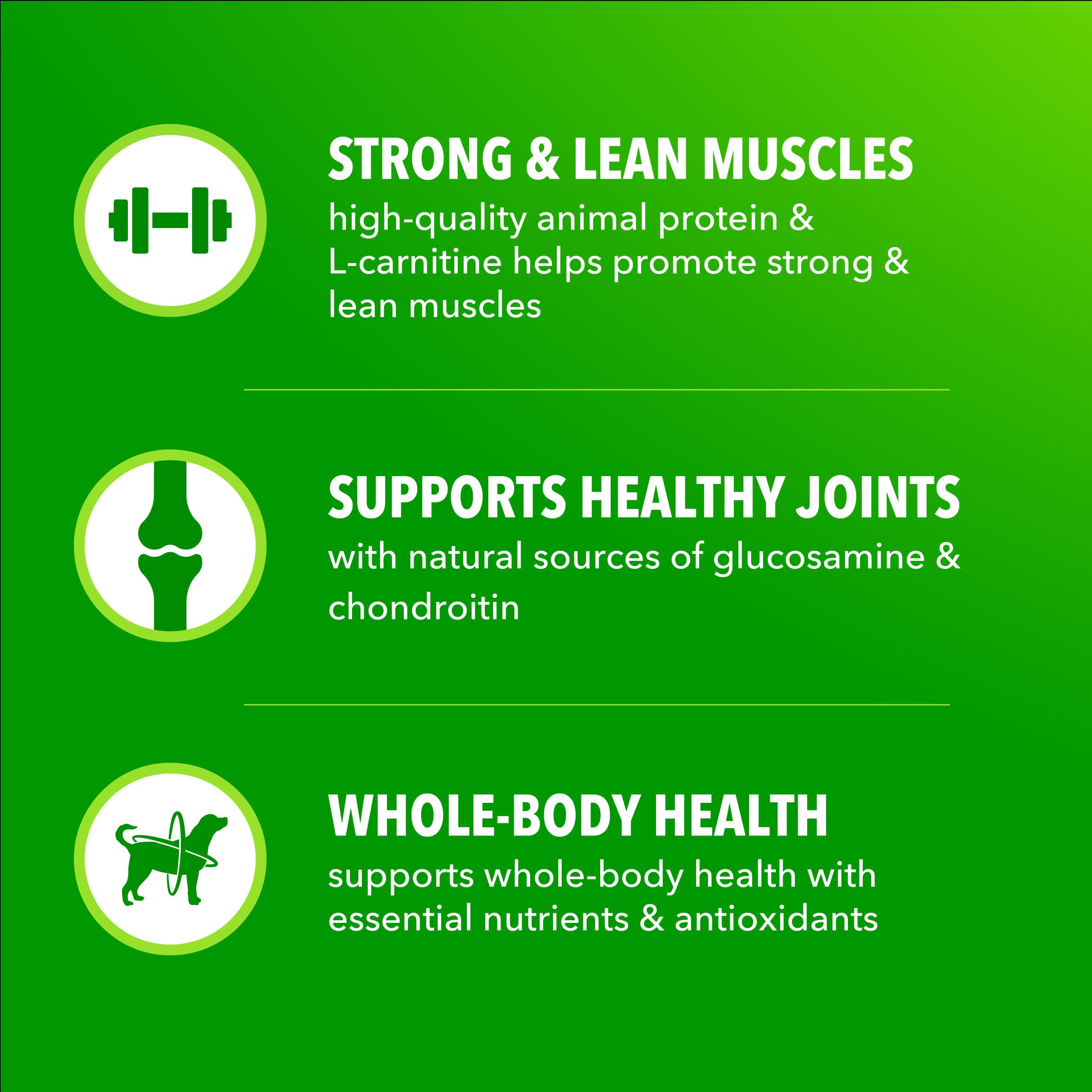 Granos integrales para energía sostenible en IAMS Proactive Health