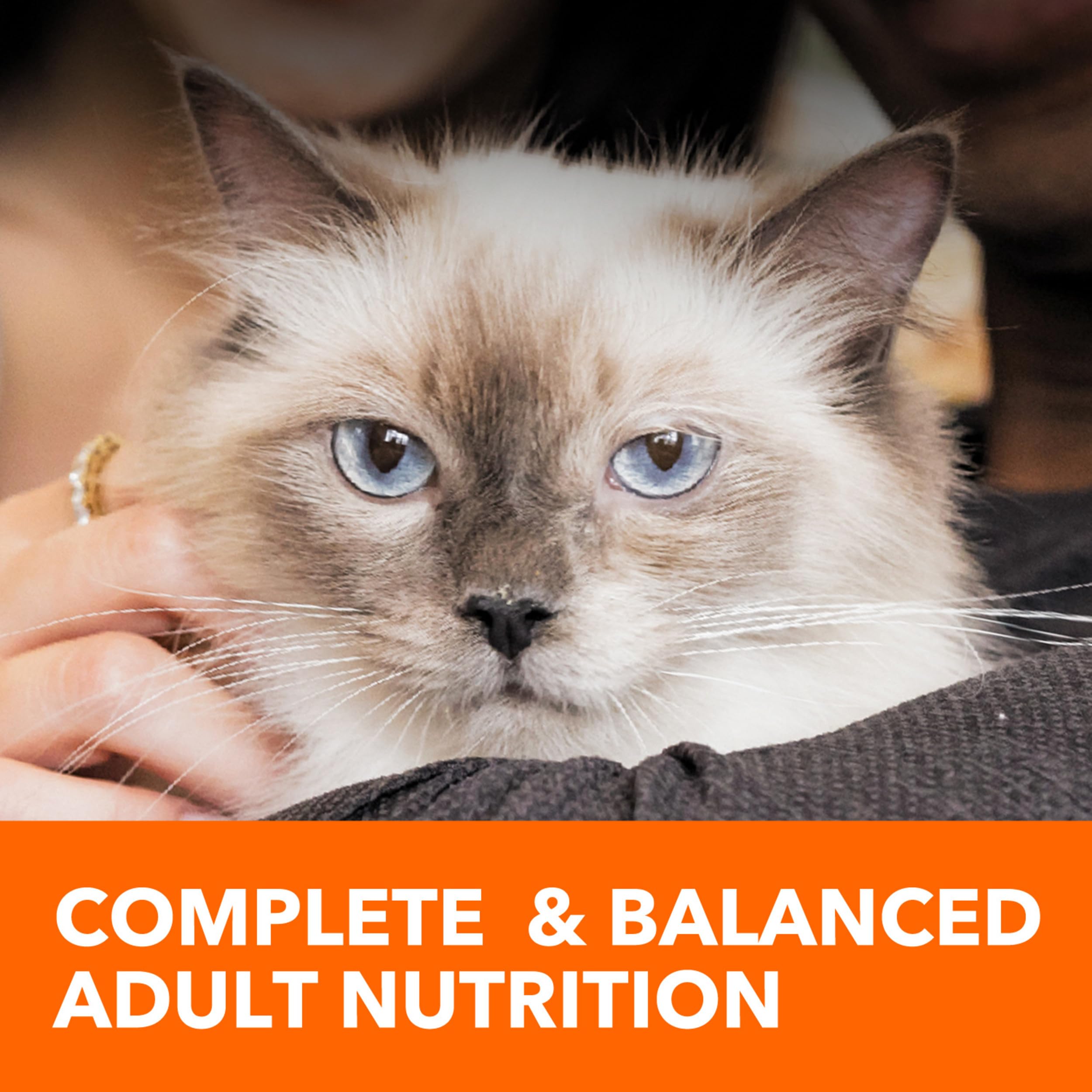 IAMS Proactive Health Hairball Care: envase práctico para planificar las comidas.