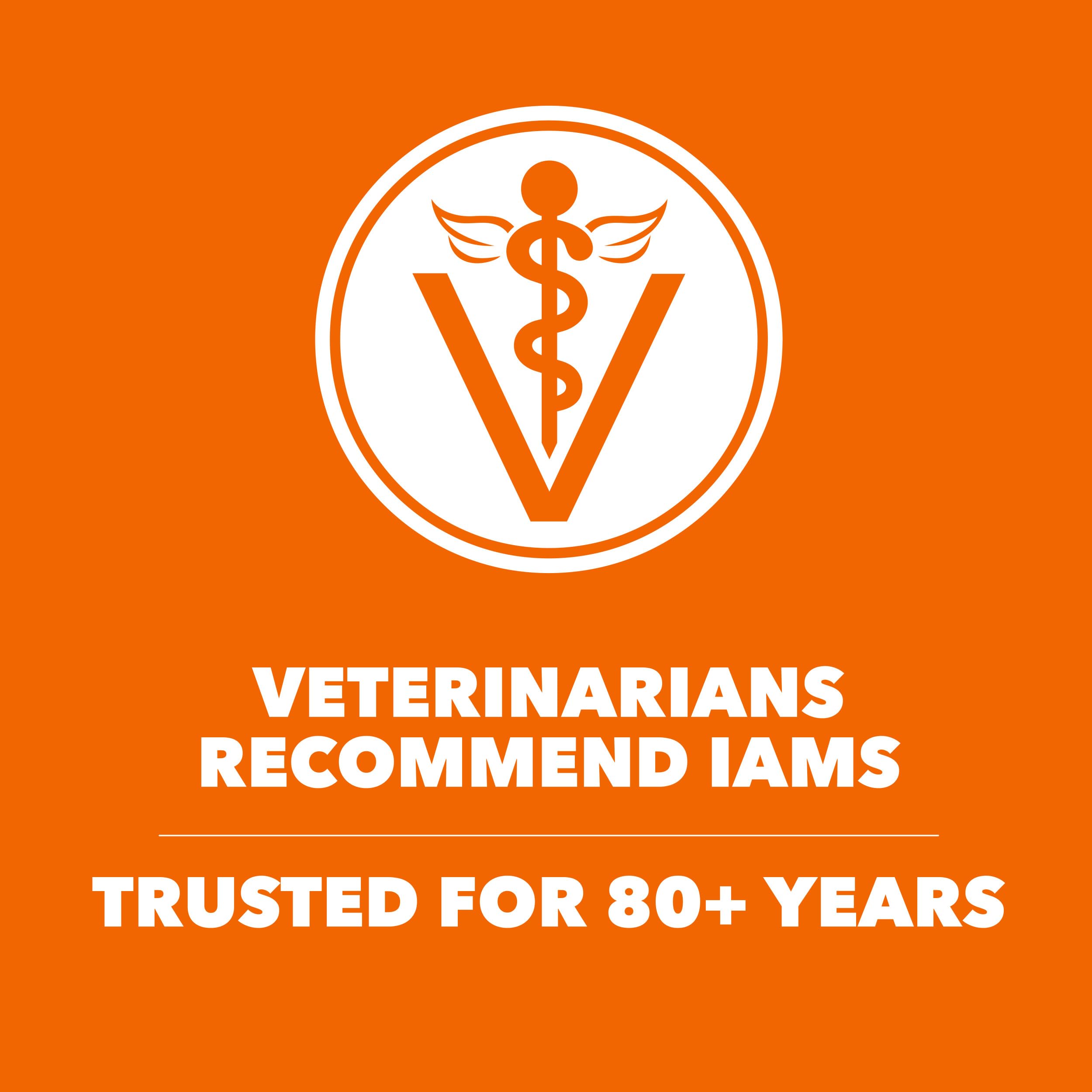 IAMS Proactive Health está diseñado para promover heces saludables en 10 dias.