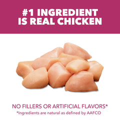 Ingredientes de calidad con pollo real en IAMS Proactive Health