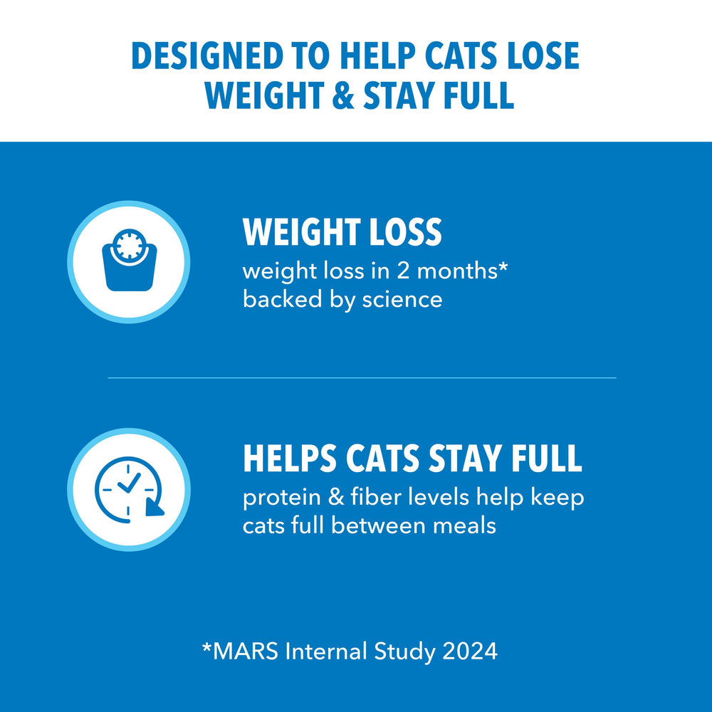 IAMS Proactive Health kibble being poured to showcase crunchy texture.