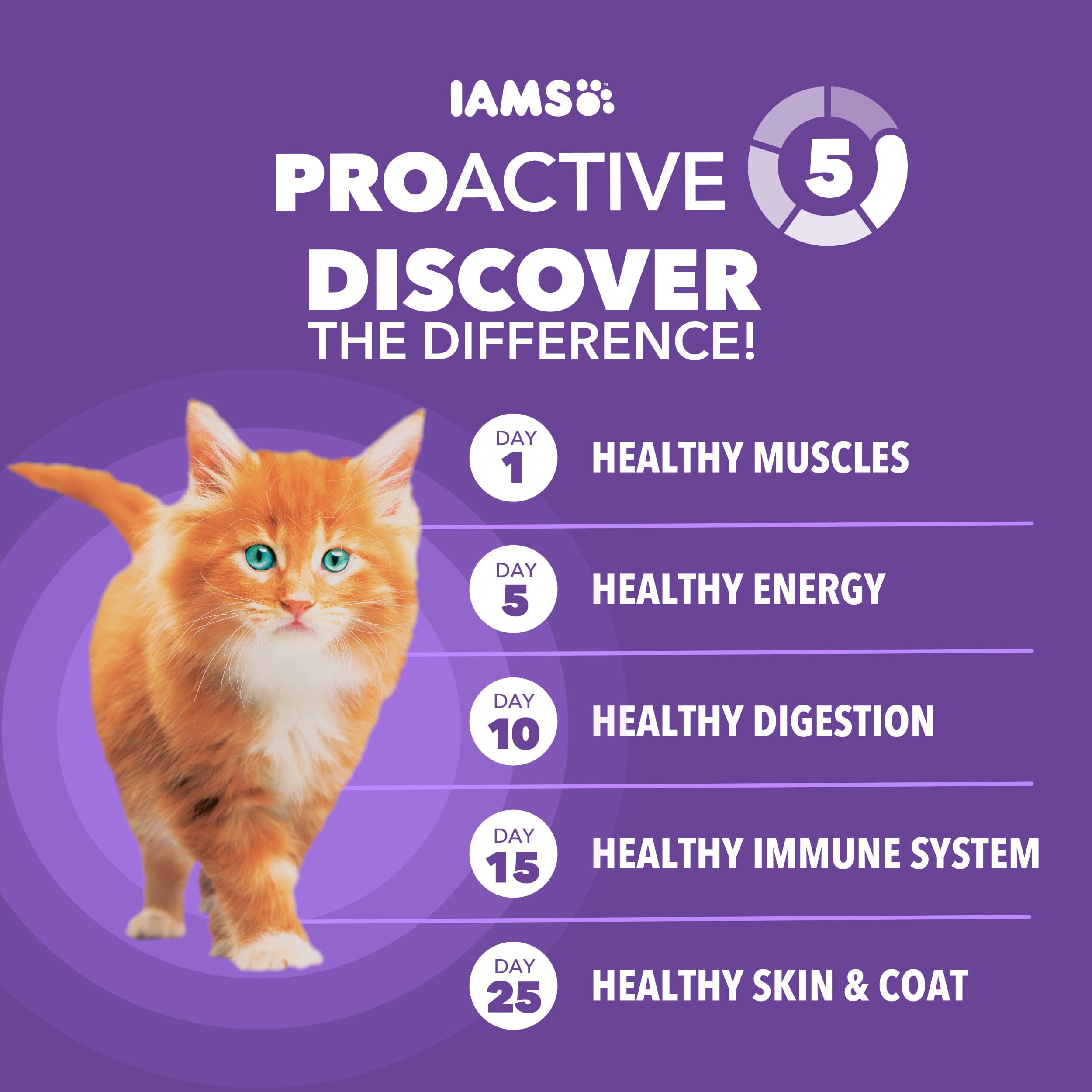 Fibra natural y prebióticos para digestión saludable en gatitos.