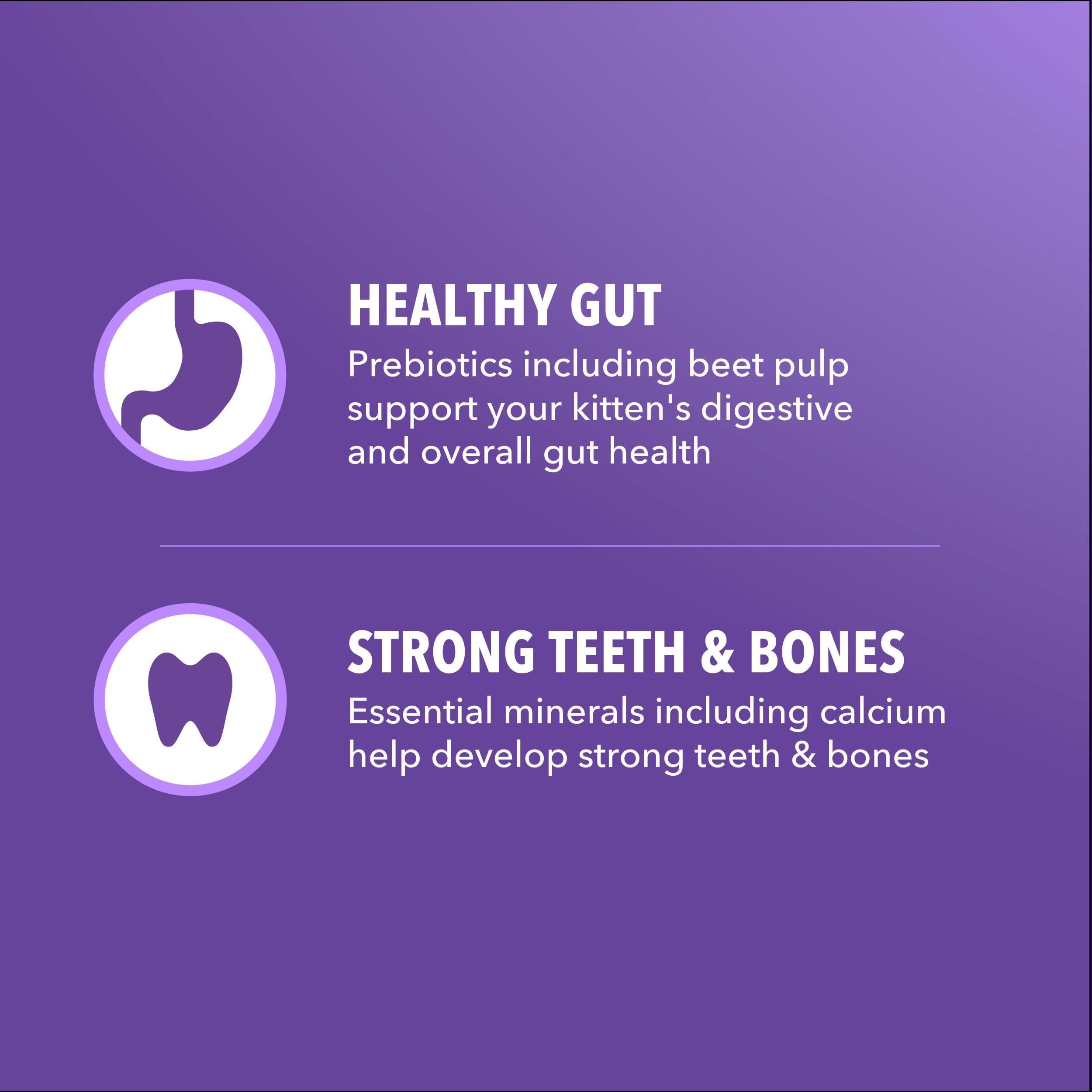 IAMS Proactive Health Kitten fibra prebiótica y remolacha para digestión.