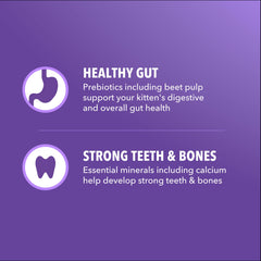 IAMS Proactive Health Kitten fibra prebiótica y remolacha para digestión.