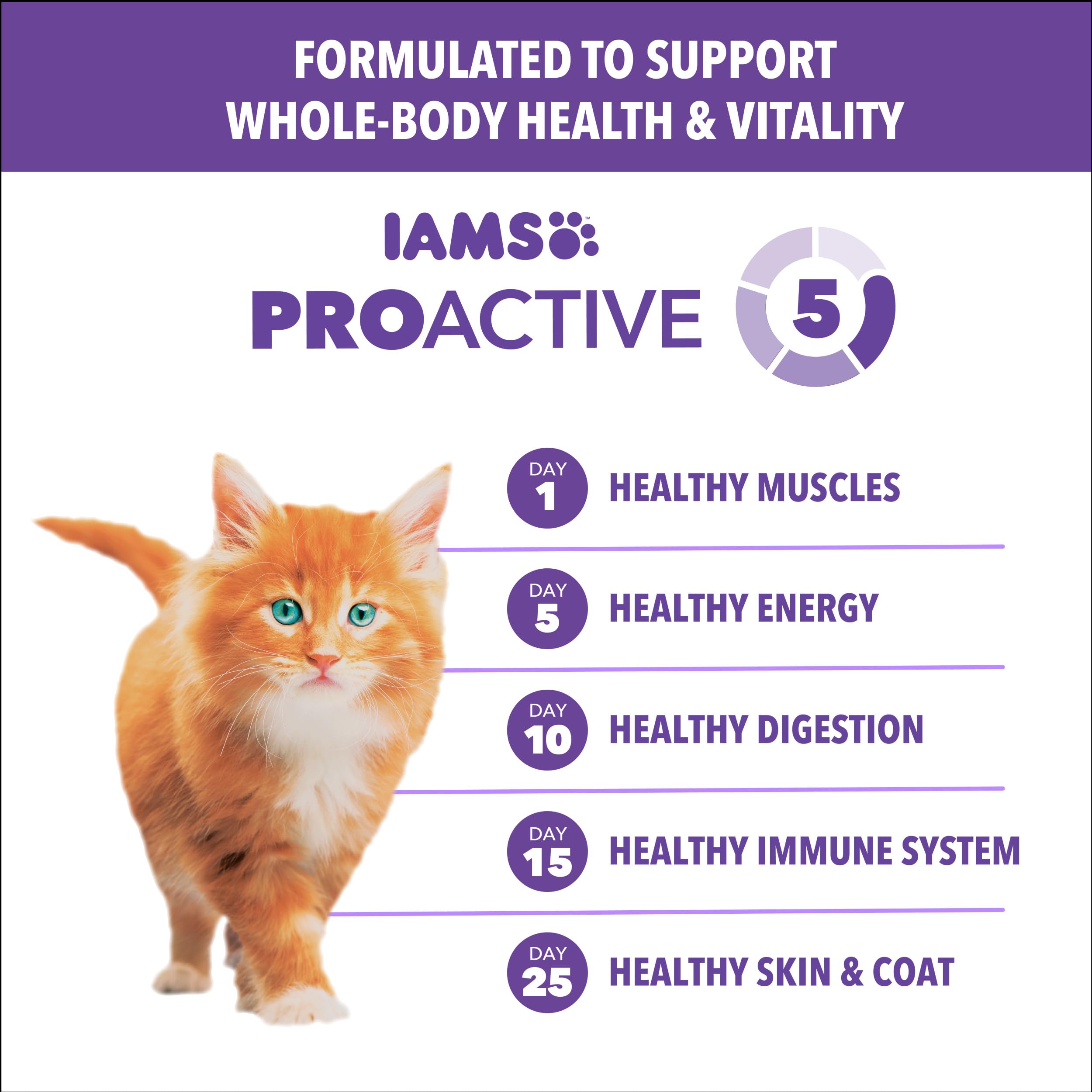 IAMS Proactive Health Kitten vitamina E para fortalecer el sistema inmune.