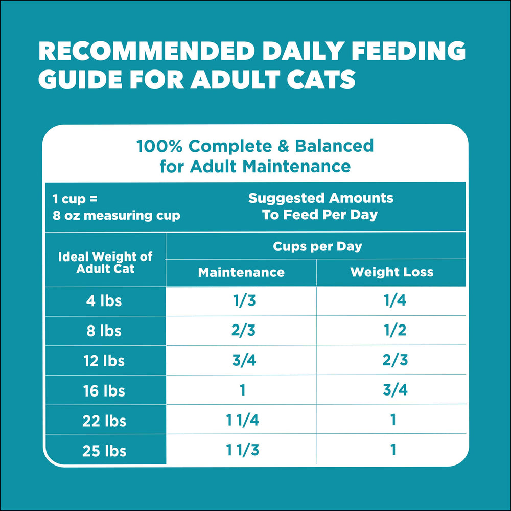 IAMS Proactive Health: preparación diaria fácil y mezcla con agua.