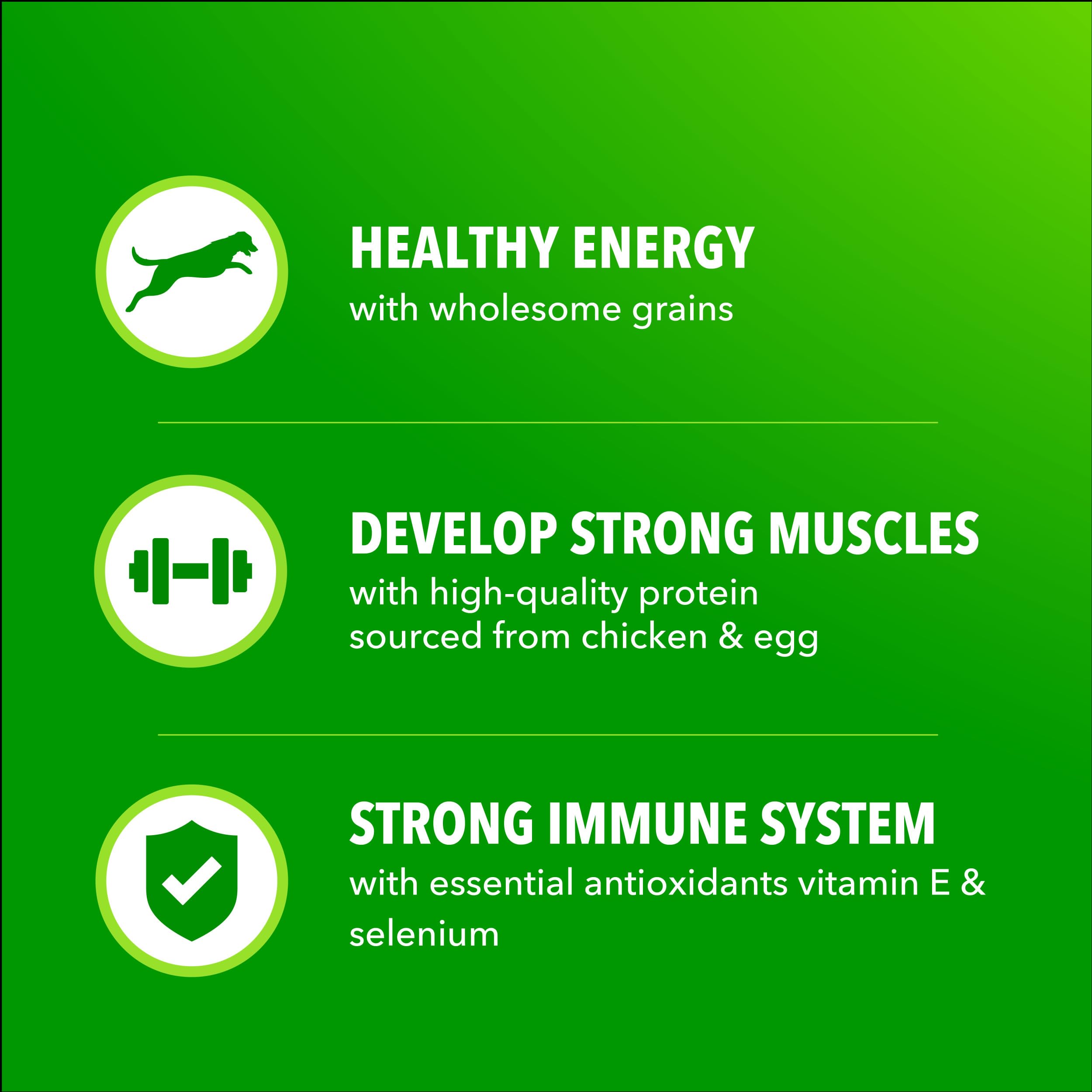 IAMS Proactive Health Minichunks, antioxidantes para apoyo al sistema inmune