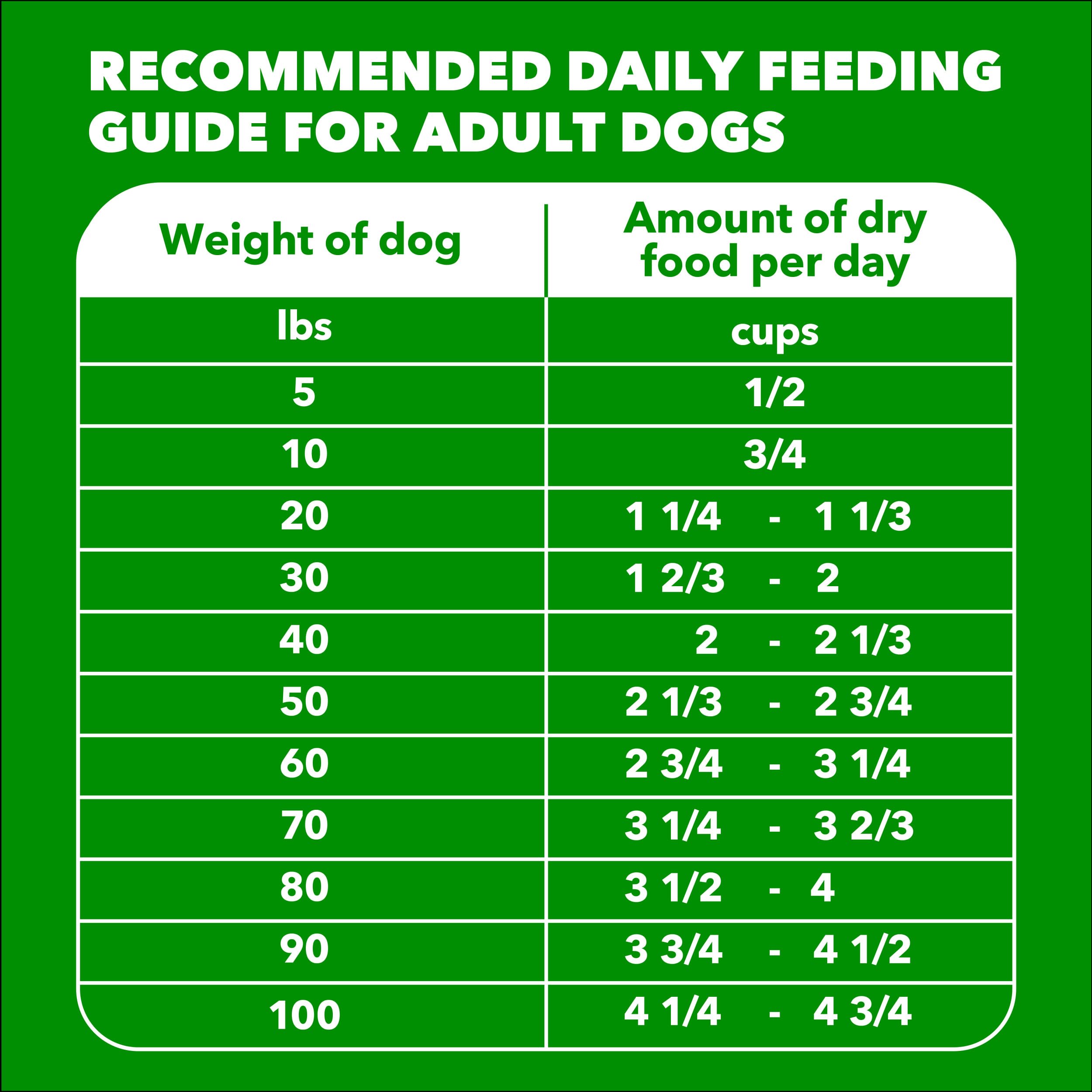 IAMS Proactive Health Minichunks, digestión equilibrada para perros adultos activos
