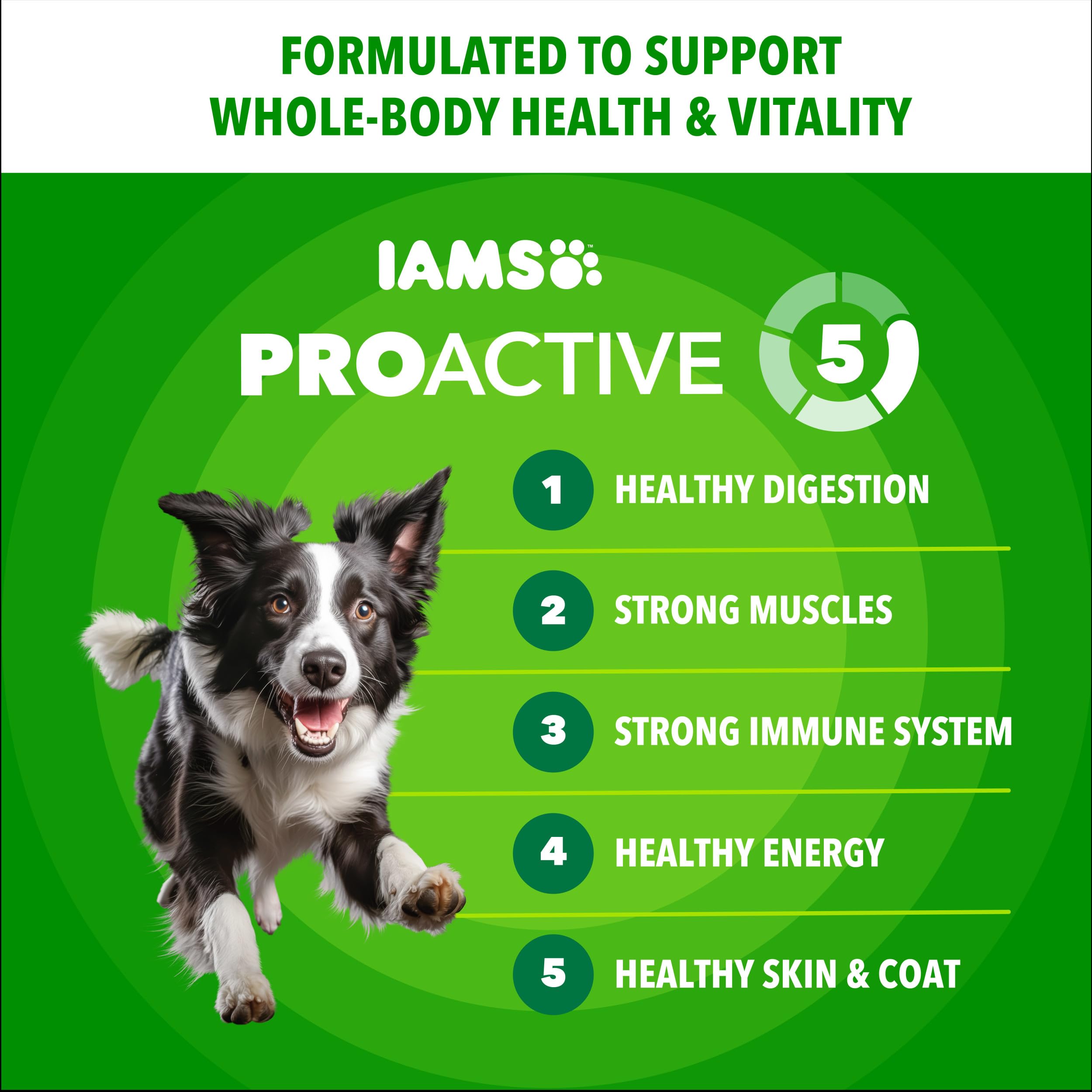 IAMS Proactive Health Minichunks, pollo y grano entero, promueve digestión equilibrada