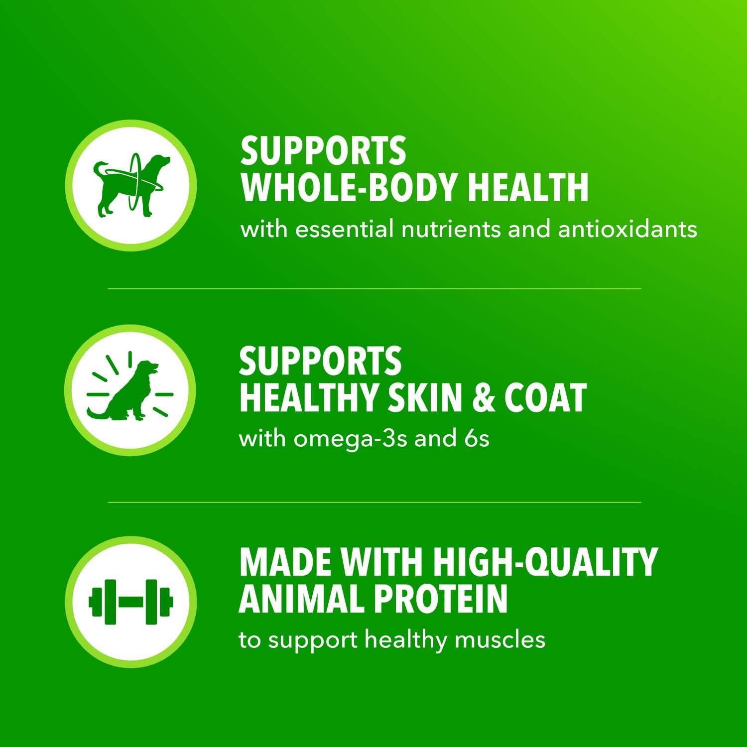 IAMS Proactive Health perro adulto, cordero con guisantes y zanahorias, bolsa para croquetas