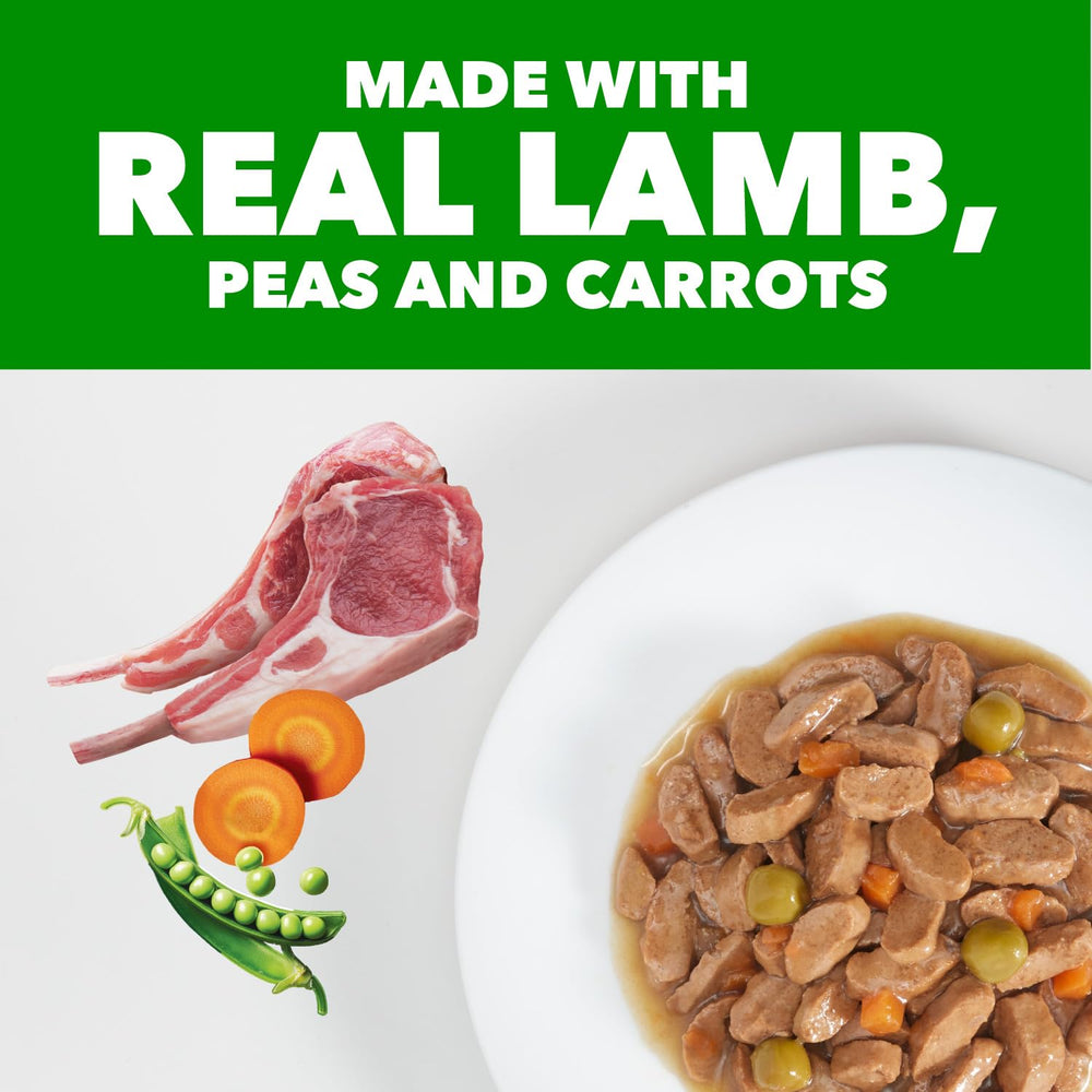 IAMS Proactive Health comida húmeda de cordero para músculos sanos de perros adultos