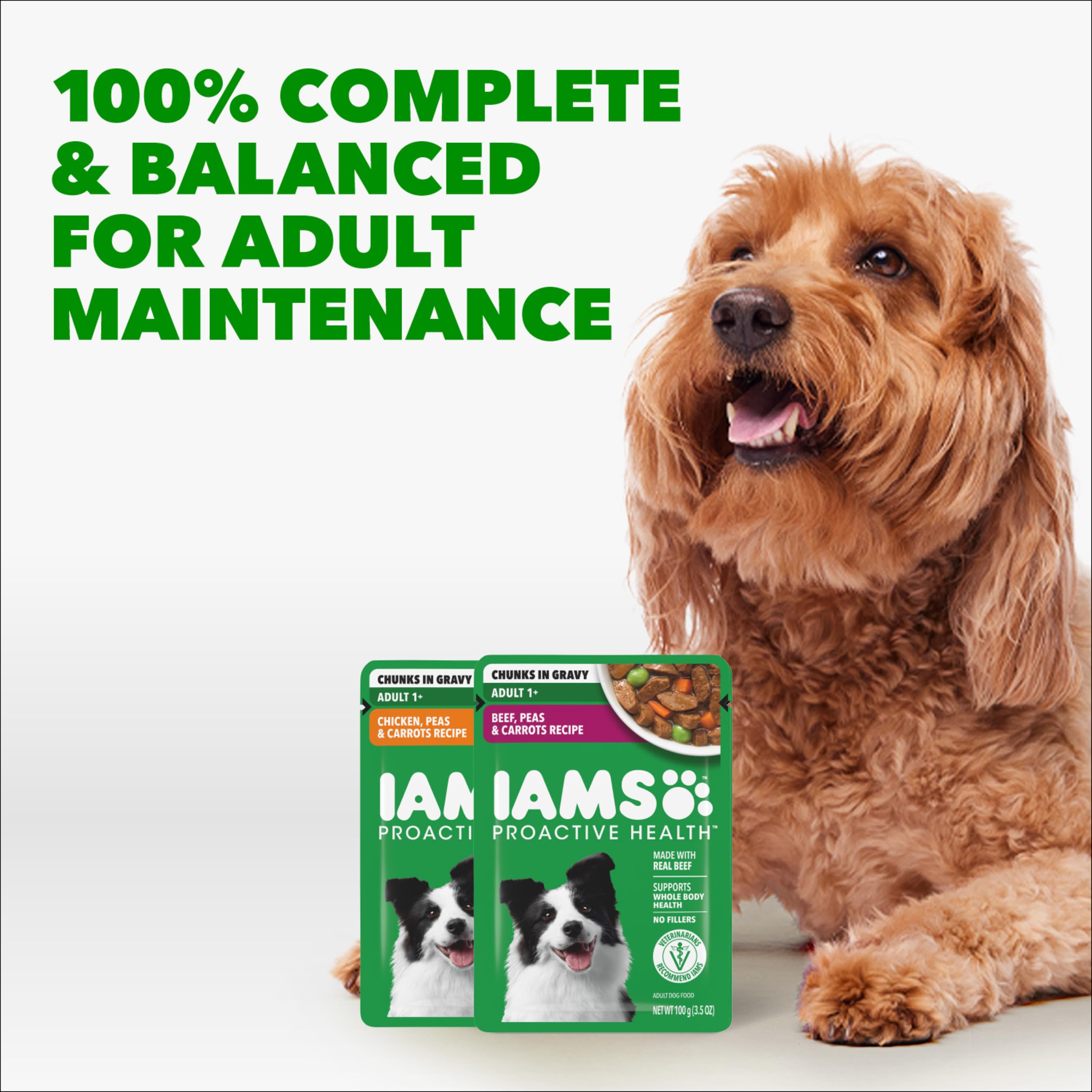 Un perro come en cuenco con comida húmeda IAMS Proactive Health.