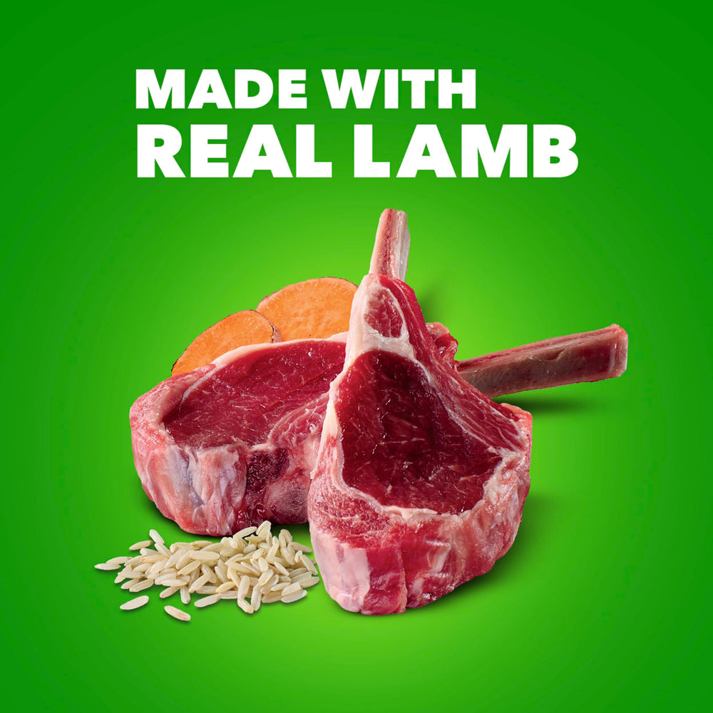 IAMS Proactive Health: lata dieta adulta, balance completo para perros.