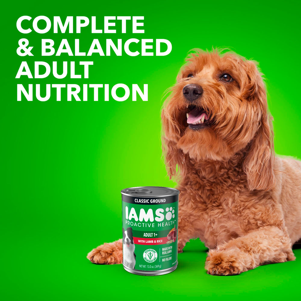 IAMS Proactive Health: lata de 12, empaque práctico para familias.