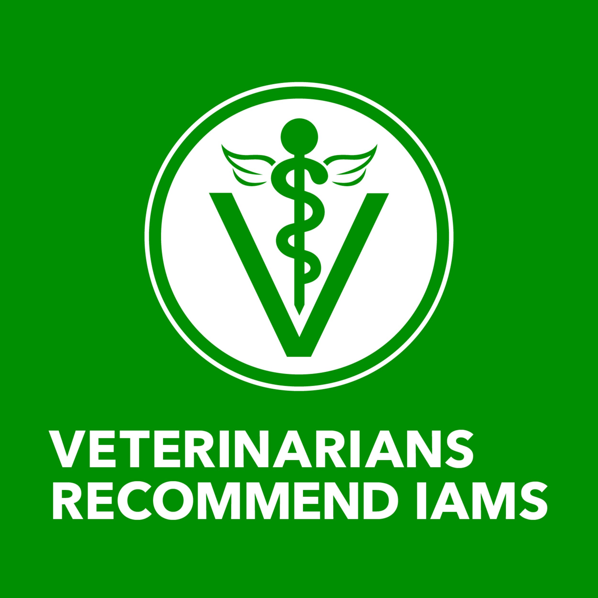 IAMS Proactive Health: lata para rutina diaria, conveniencia de servicio.
