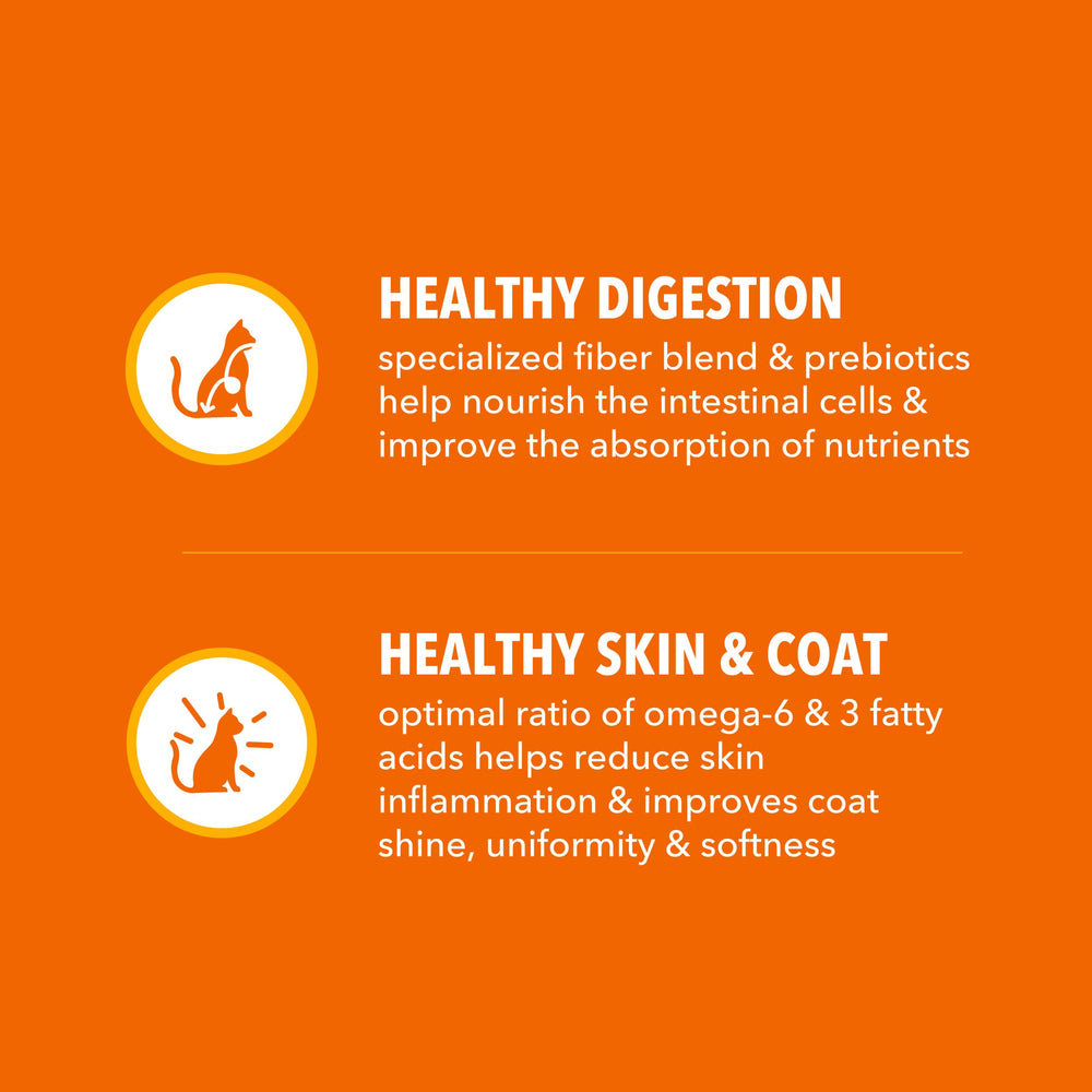 IAMS Proactive Health piel y pelaje sanos en gatos.