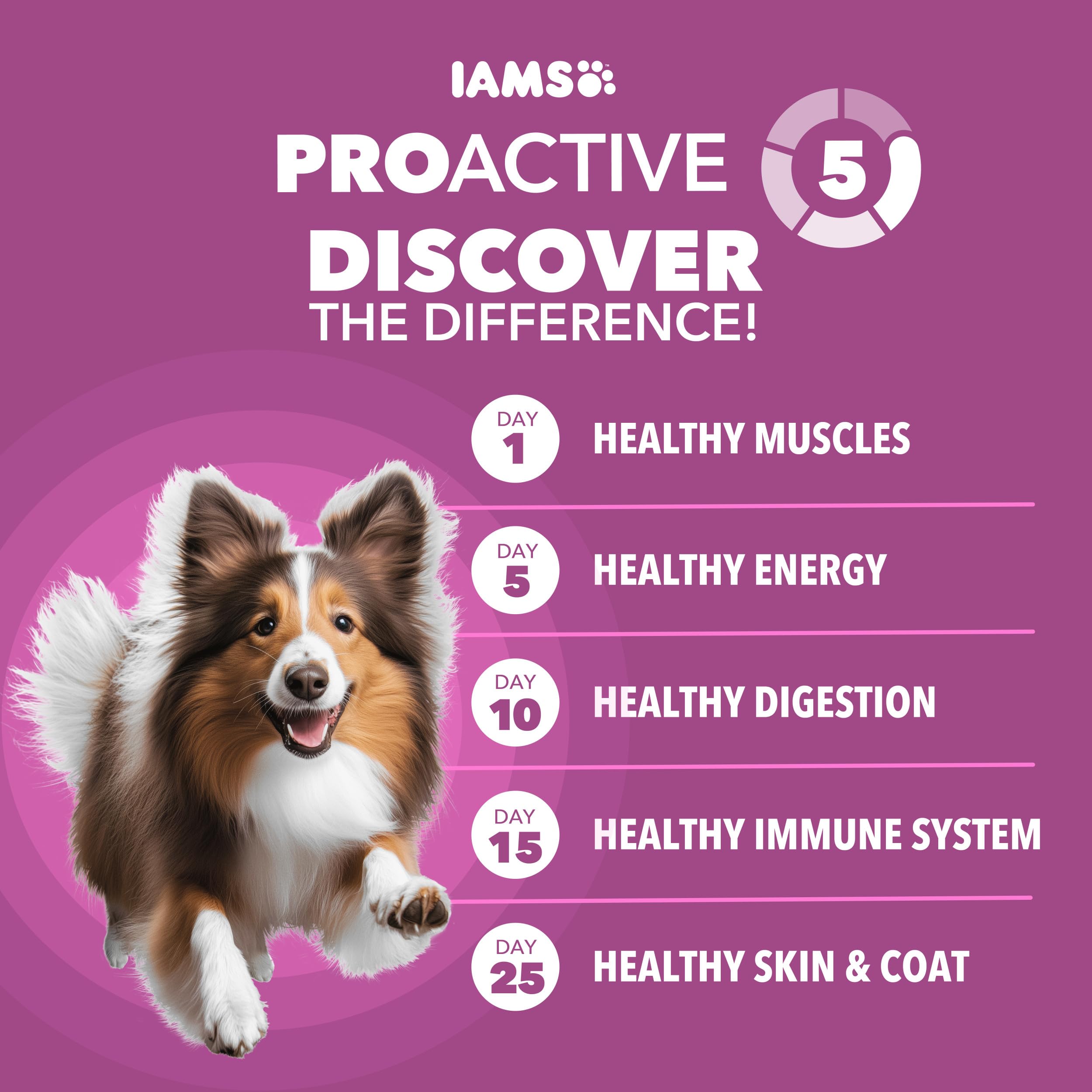 IAMS Proactive Health, pollo real como ingrediente principal para energía diaria.