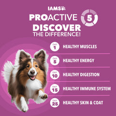 IAMS Proactive Health, pollo real como ingrediente principal para energía diaria.