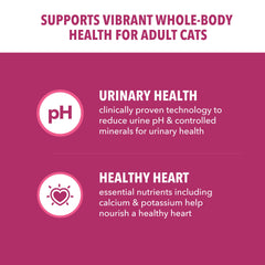 IAMS Proactive Health pollo real como ingrediente principal para energía diaria