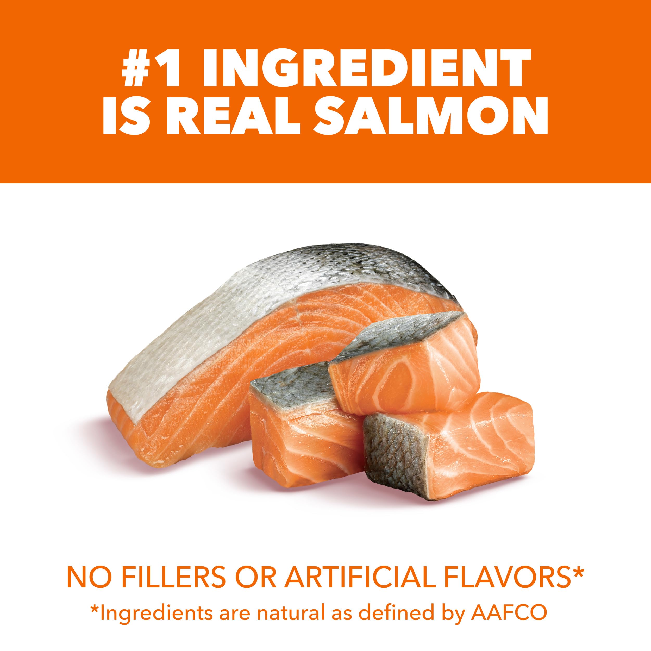 IAMS Proactive Health ingrediente principal salmón, proteína de alta calidad para músculos