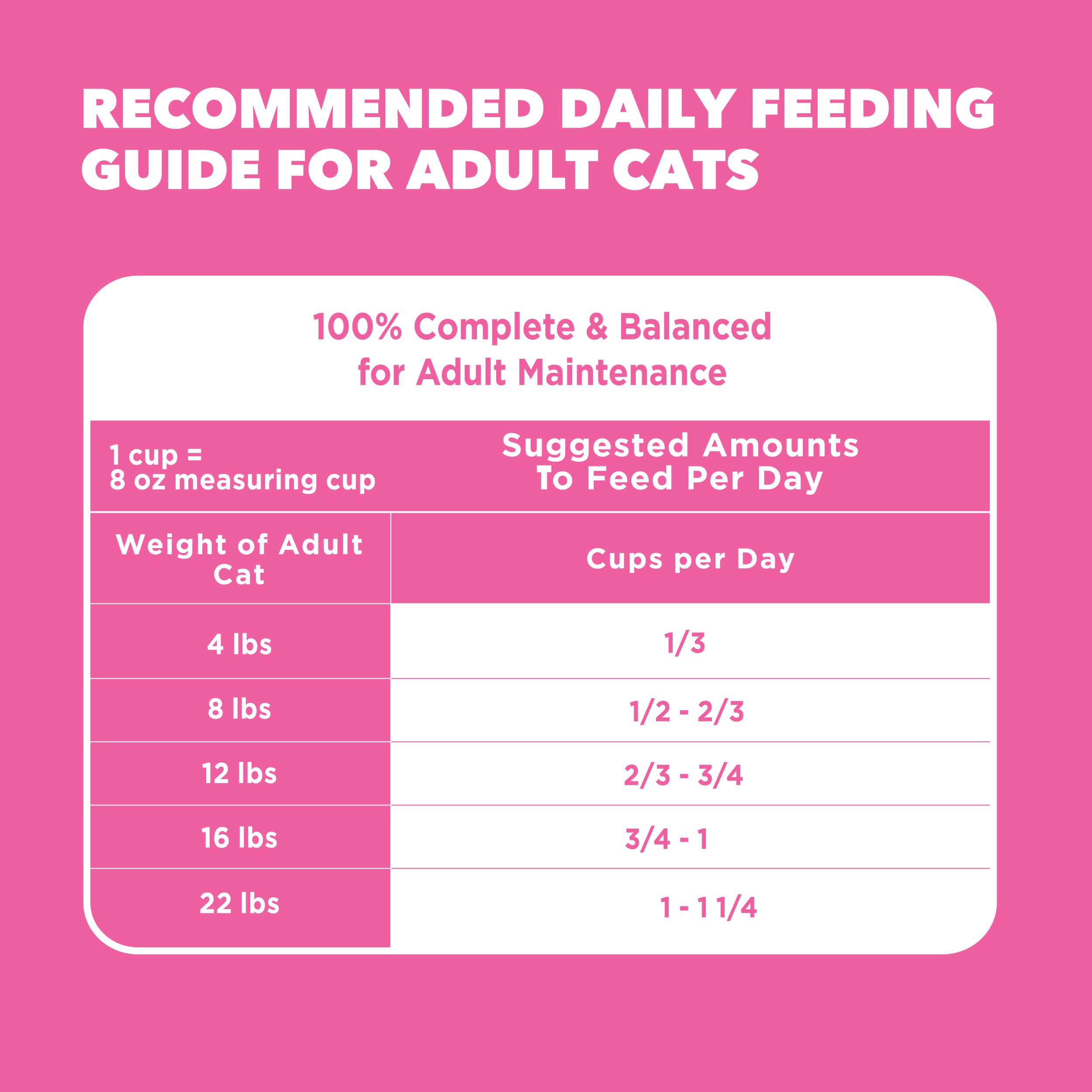 IAMS Proactive Health: proteína de pavo de alta calidad para gatos.