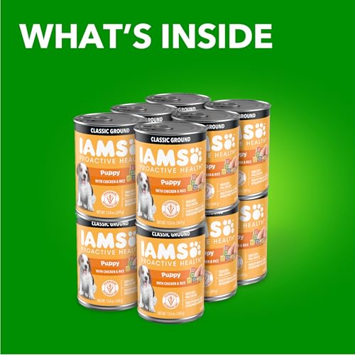 IAMS Proactive Health Puppy, plato hogareño mostrando comida húmeda para cachorros.