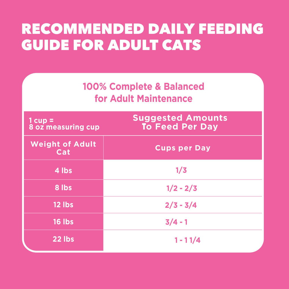 Ritual diario de comida para gatos adultos con IAMS Proactive Health.