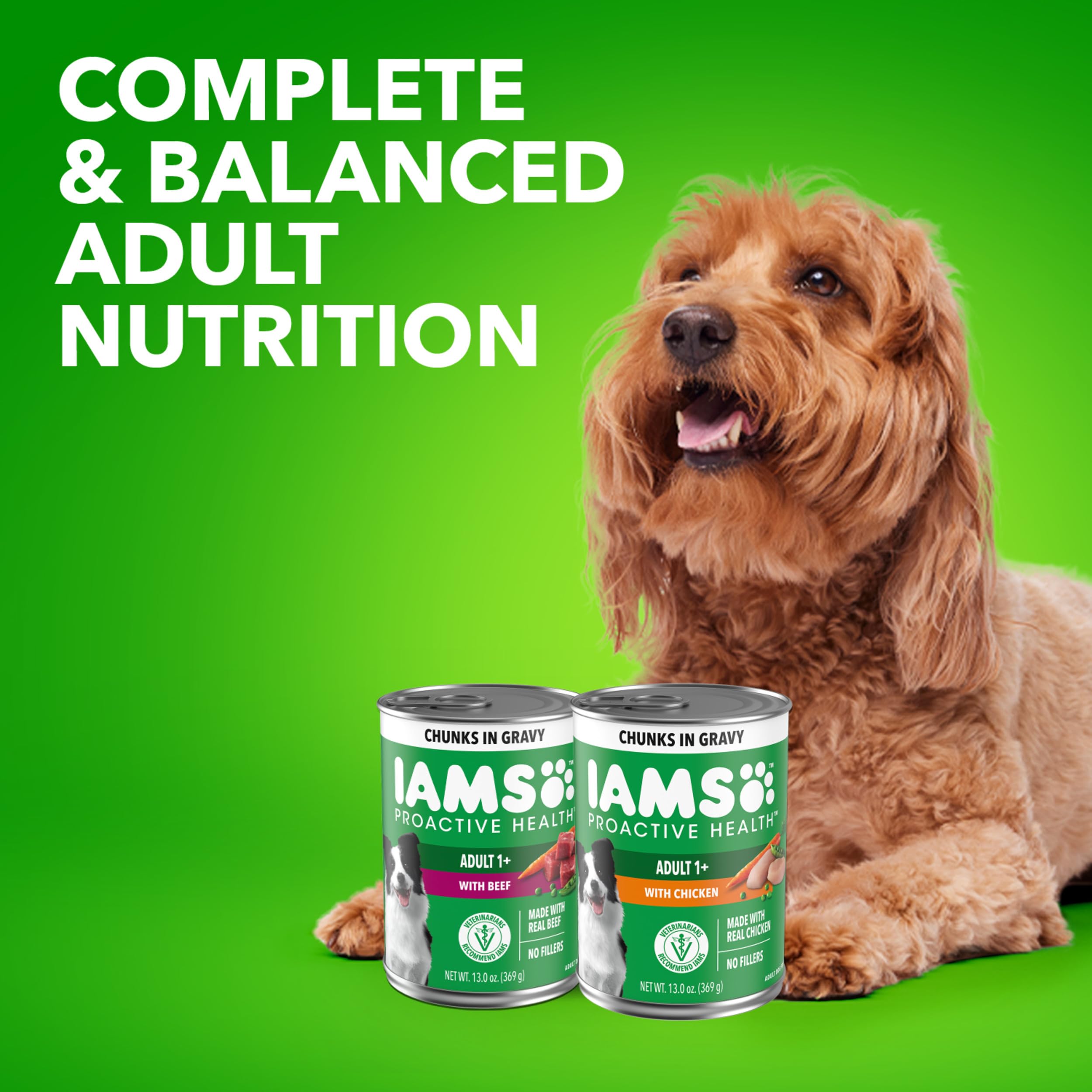 IAMS Proactive Health sabor apetitoso en lata: facilita la alimentación.