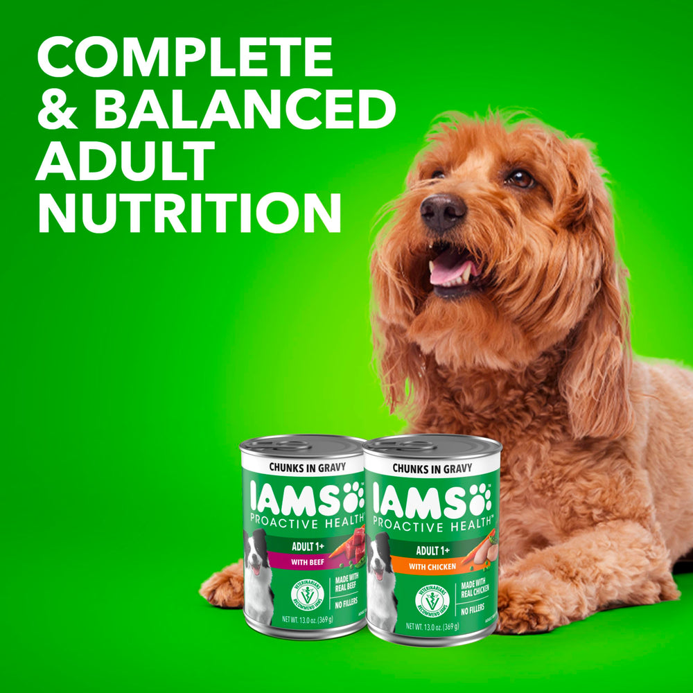 IAMS Proactive Health sabor apetitoso en lata: facilita la alimentación.