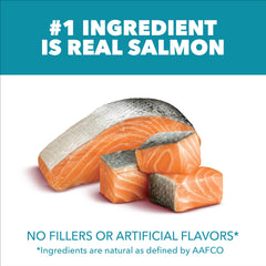IAMS Proactive Health: salmón principal para sabor y proteína de calidad.