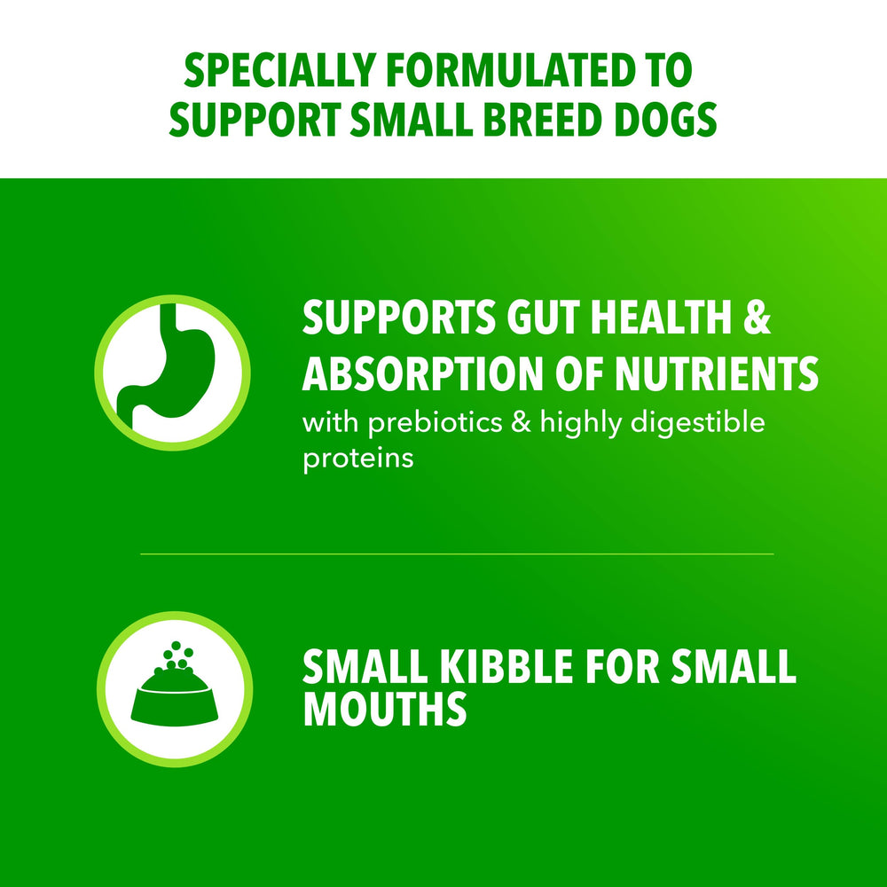 IAMS Proactive Health omega-6 para brillo de pelaje saludable