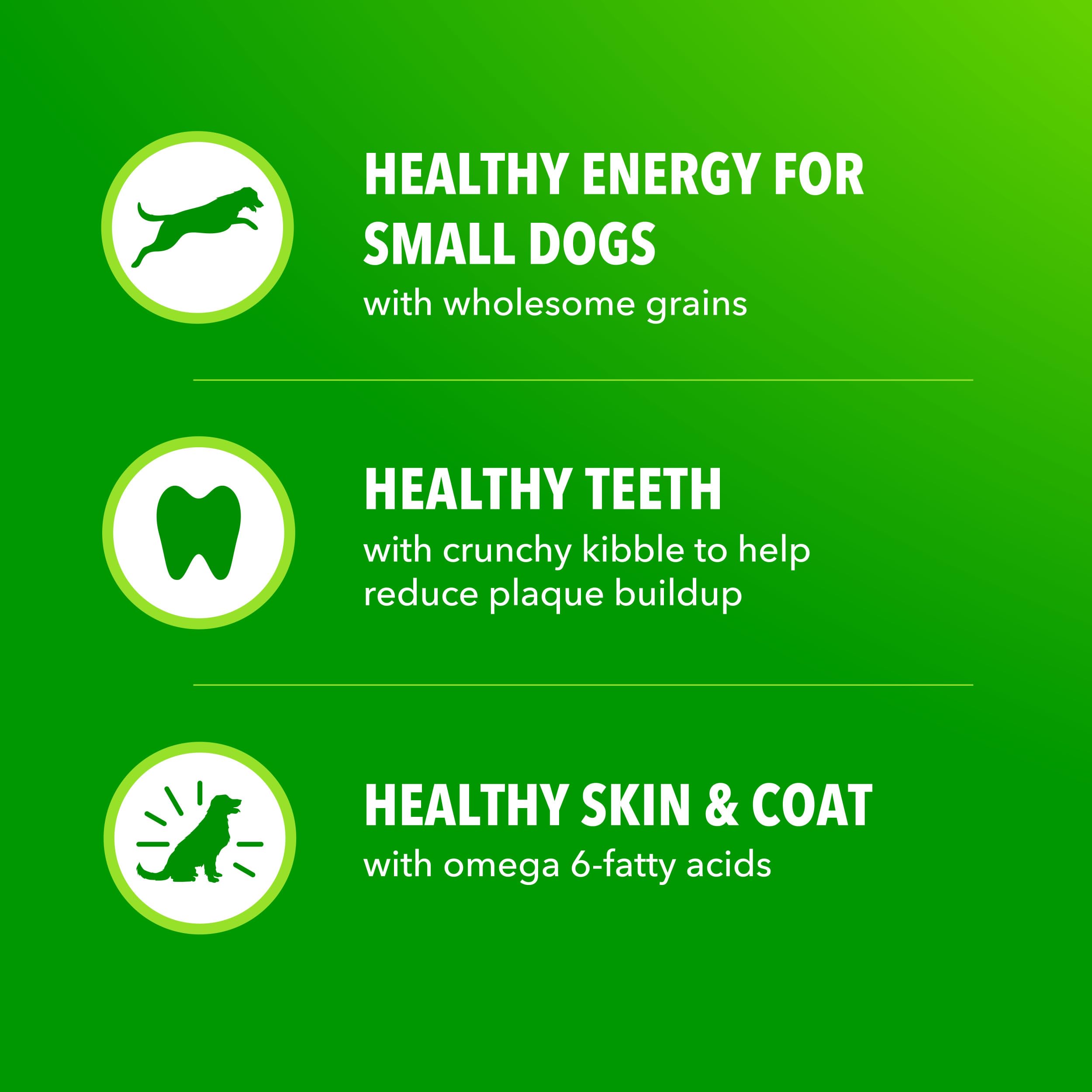 IAMS Proactive Health porciones pequeñas para energía equilibrada diaria