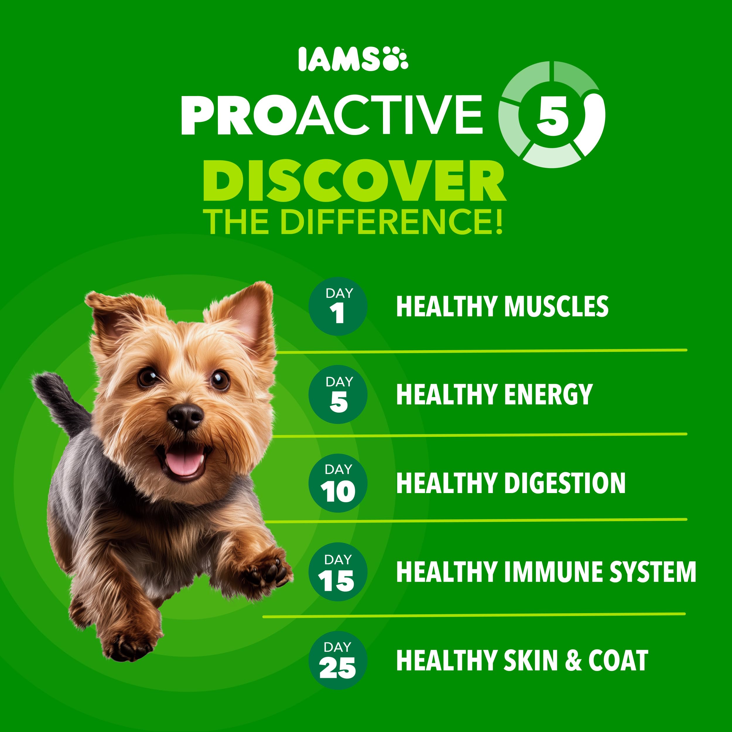 IAMS Proactive Health croquetas pequeñas para mordidas fáciles y sabor real