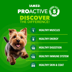 IAMS Proactive Health croquetas pequeñas para mordidas fáciles y sabor real