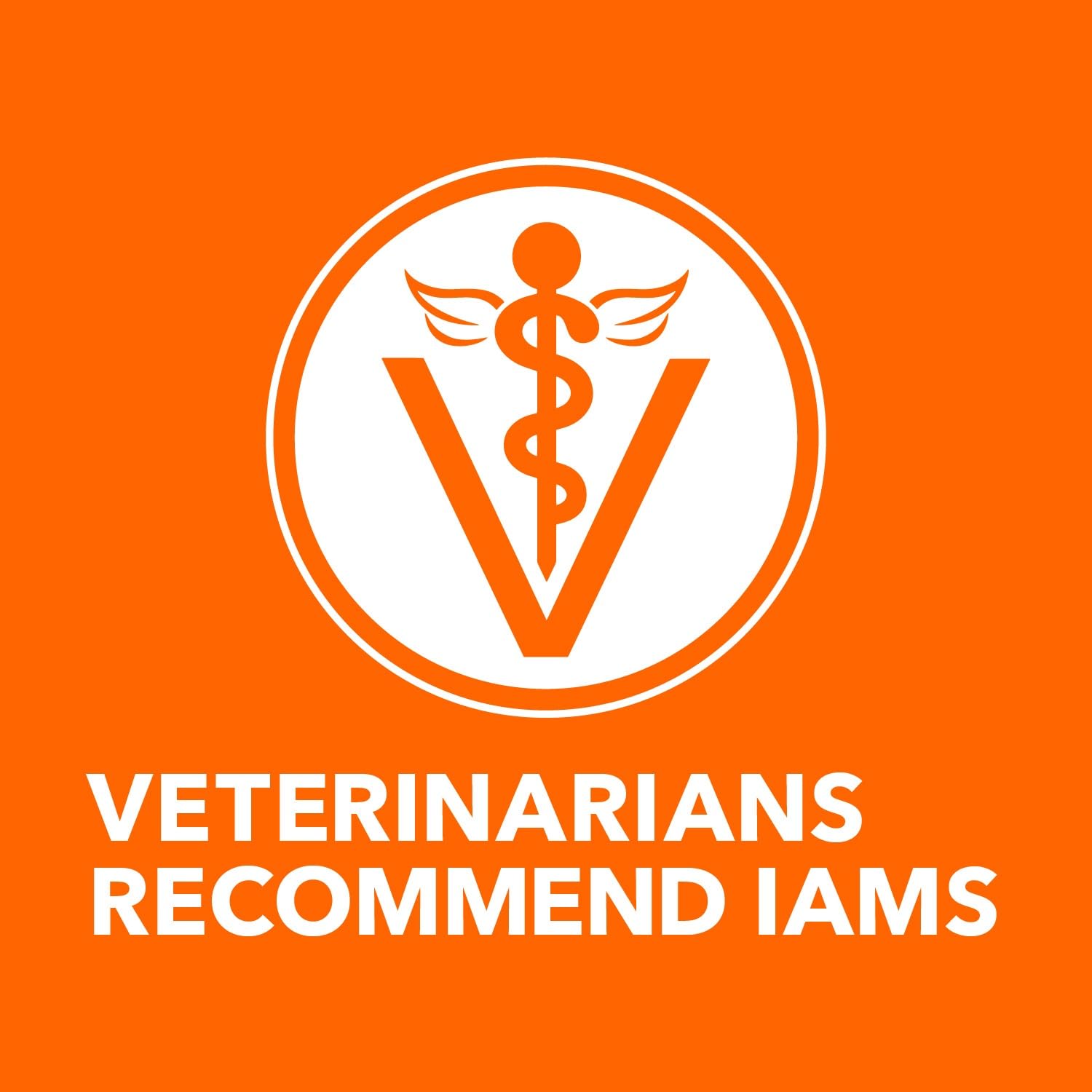 IAMS Proactive Health Senior, ingredientes clave para una nutrición equilibrada.