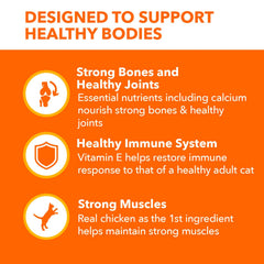 IAMS Proactive Health Senior, tazón con croquetas, snack diario para gatos mayores.