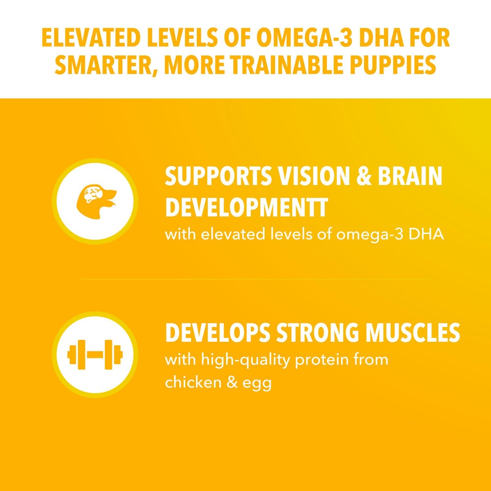 IAMS Salud Proactiva antioxidantes y vitamina E para un sistema inmune equilibrado.