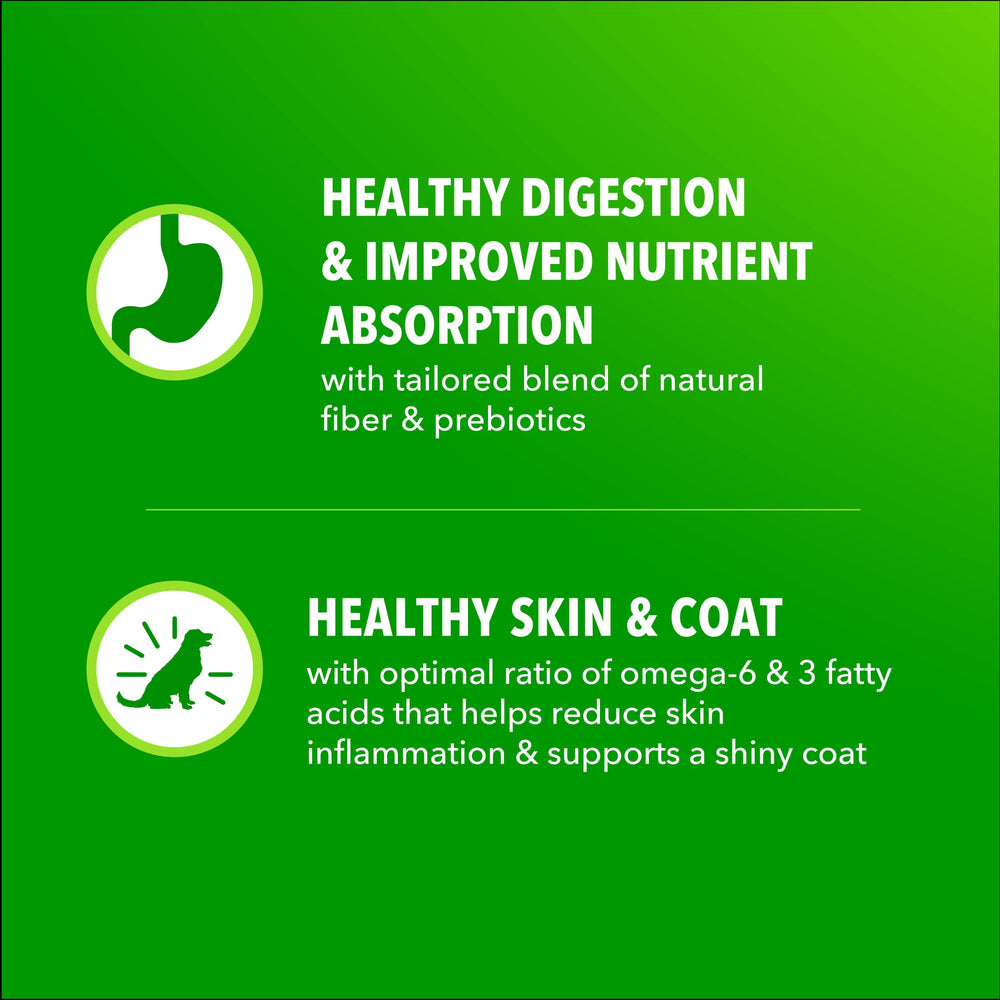 IAMS Proactive Health wholesome grains fuel daily activity